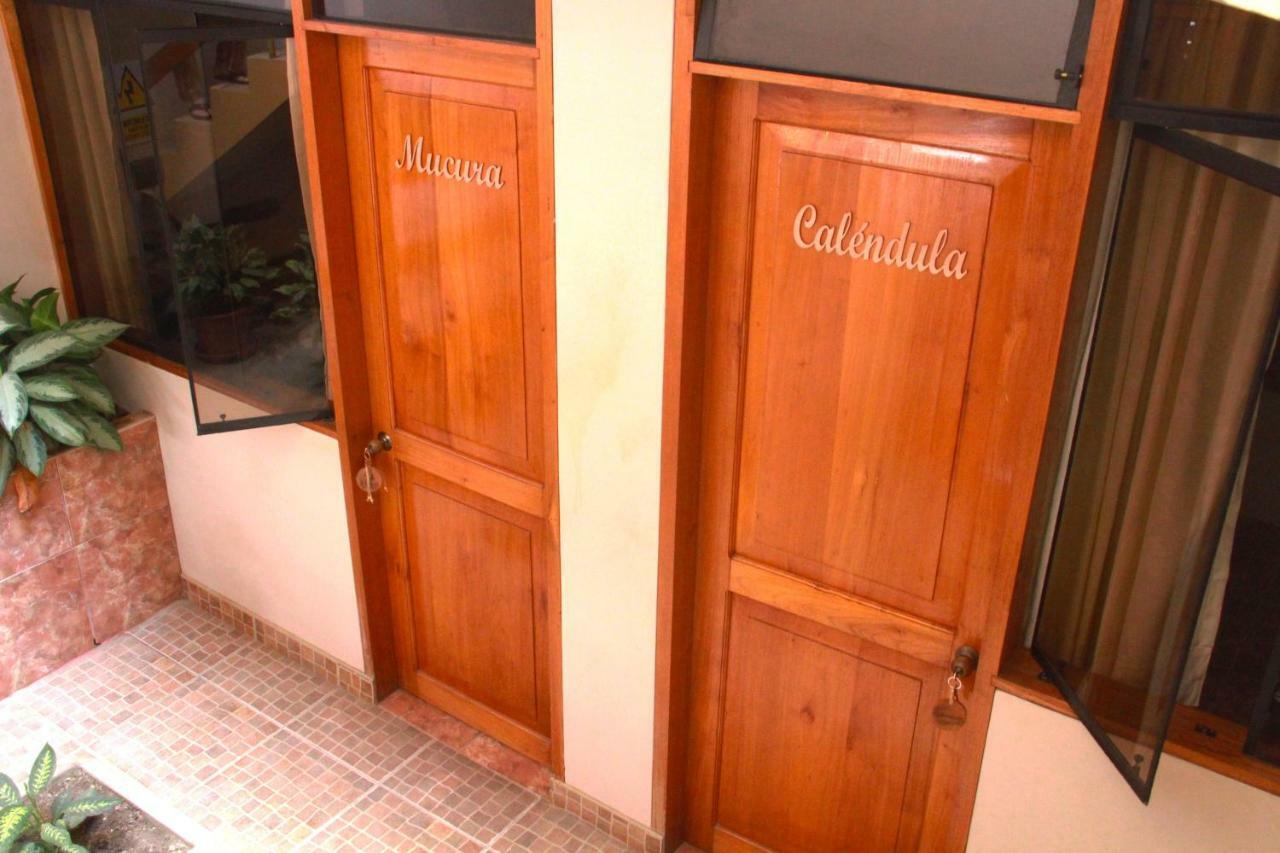 Zygo Bed & Breakfast Tarapoto Buitenkant foto